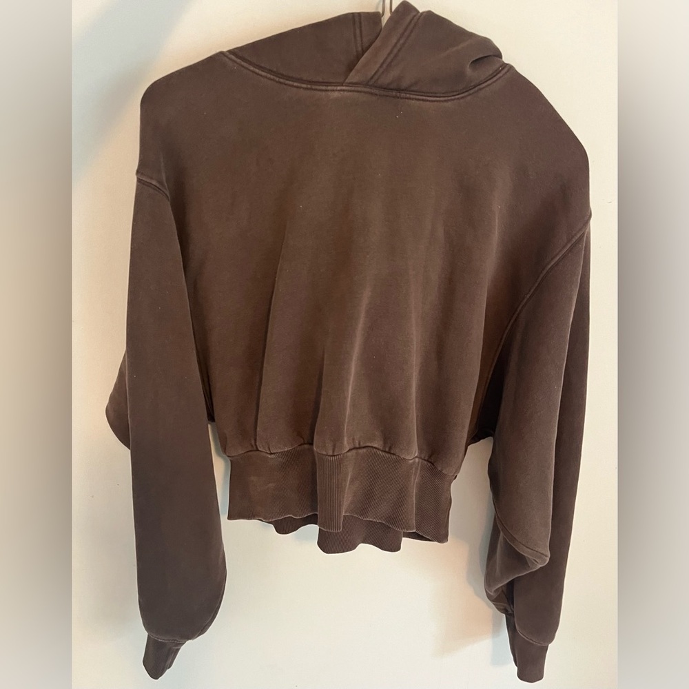 Aritzia Brown Cropped Hoodie Sweatshirt